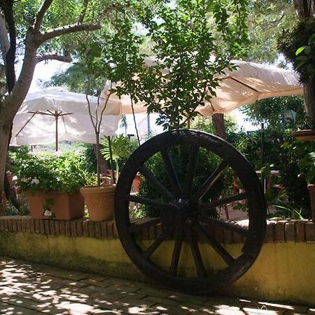 Hotel Ristorante Solari Briatico Zewnętrze zdjęcie